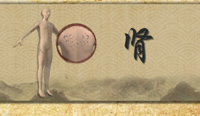 6373109965093371587084943.png?id=1412 6373109965093371587084943.png?id=1412